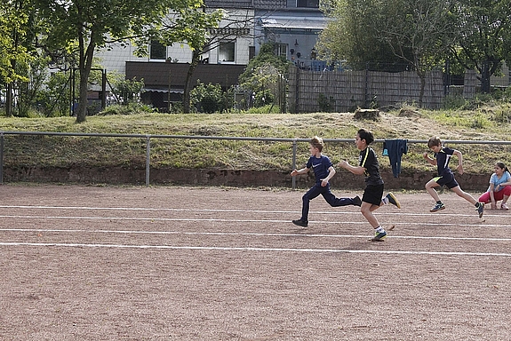 _MG_7311