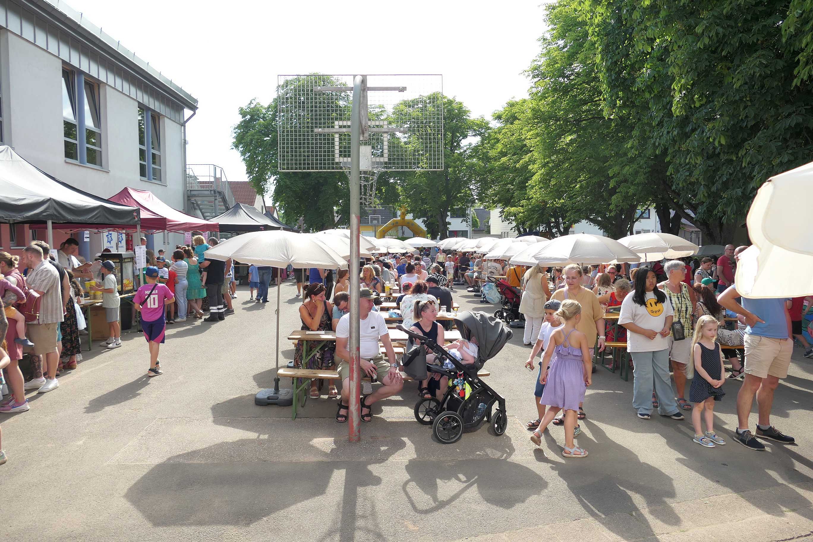Image-7118