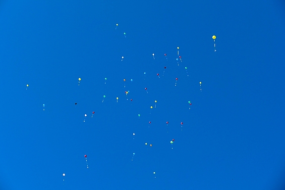 P1036624