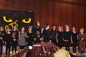 image-2519
