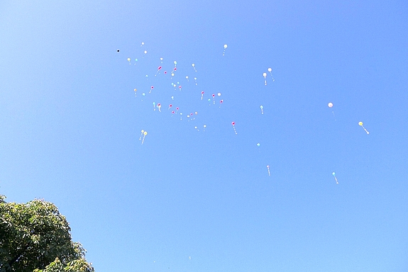 P1036621