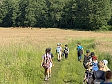 IMG_2231